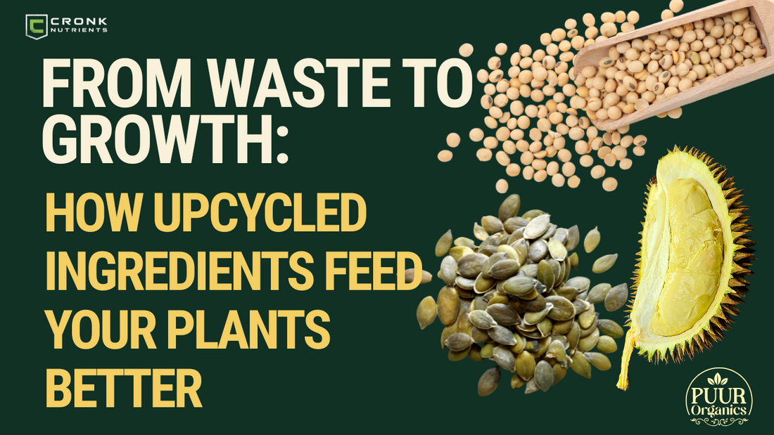 From Waste to Growth: How Upcycled Ingredients Feed Your Plants Better