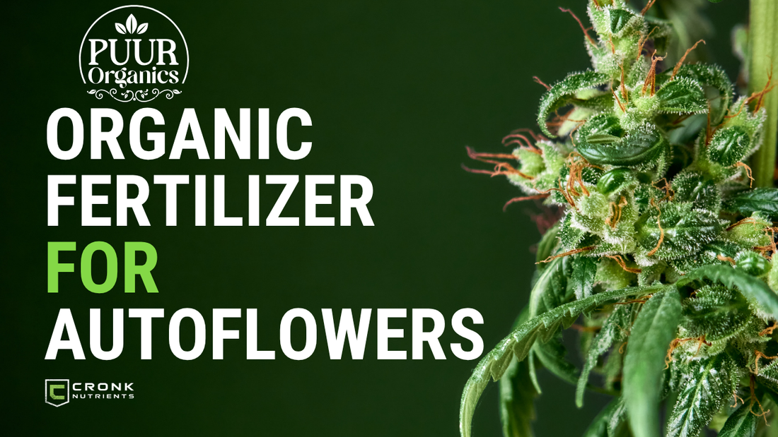 Organic Fertilizer for Autoflowers – PuurOrganics Feeding Guide
