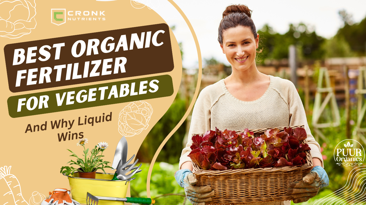 The Best Organic Fertilizer for Vegetables (And Why Liquid Wins)