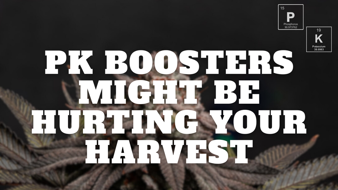 More PK, More Problems? The Truth About Bloom Boosters