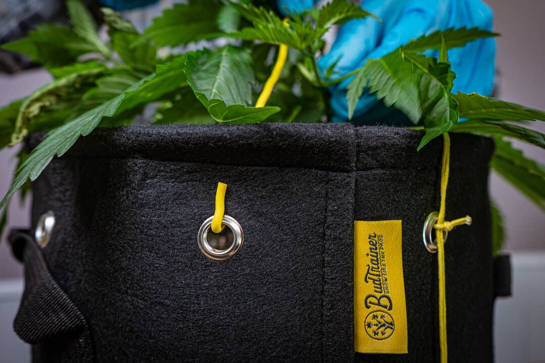 BudHuggers™ - Thin Plant Training Garden Ties