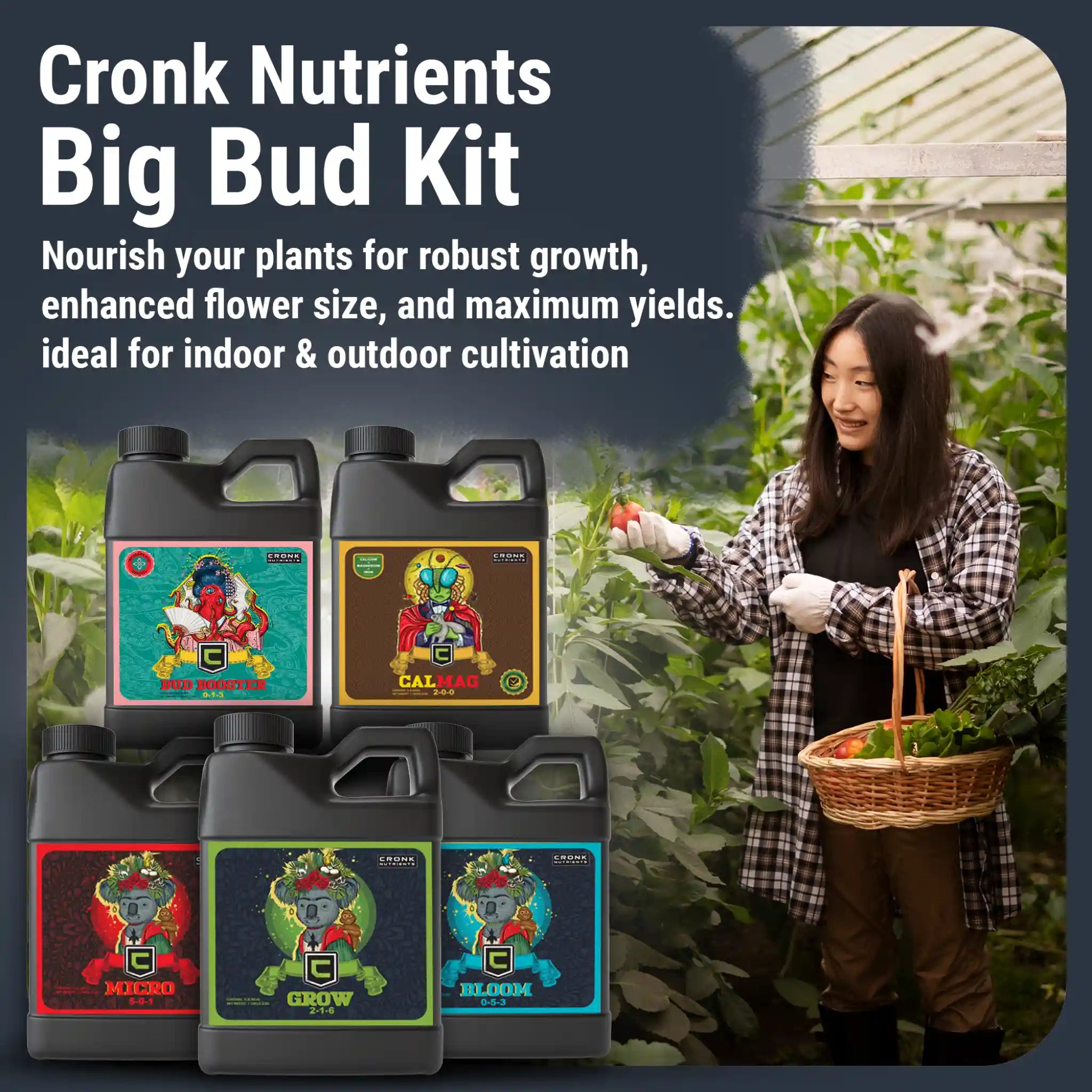 fertilizer for flowering pot plants Big Bud Kit: Complete Plant Nutrient Solution - 1L