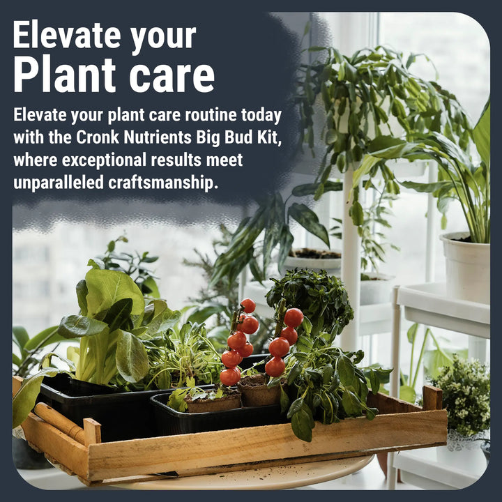 Big Bud Kit: Complete Plant Nutrient Solution Cronk Nutrients