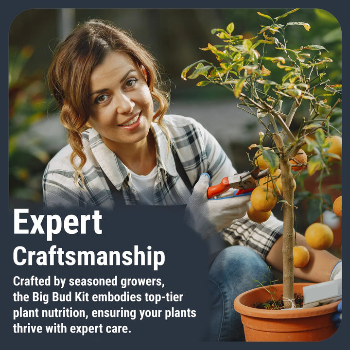 Big Bud Kit: Complete Plant Nutrient Solution Cronk Nutrients