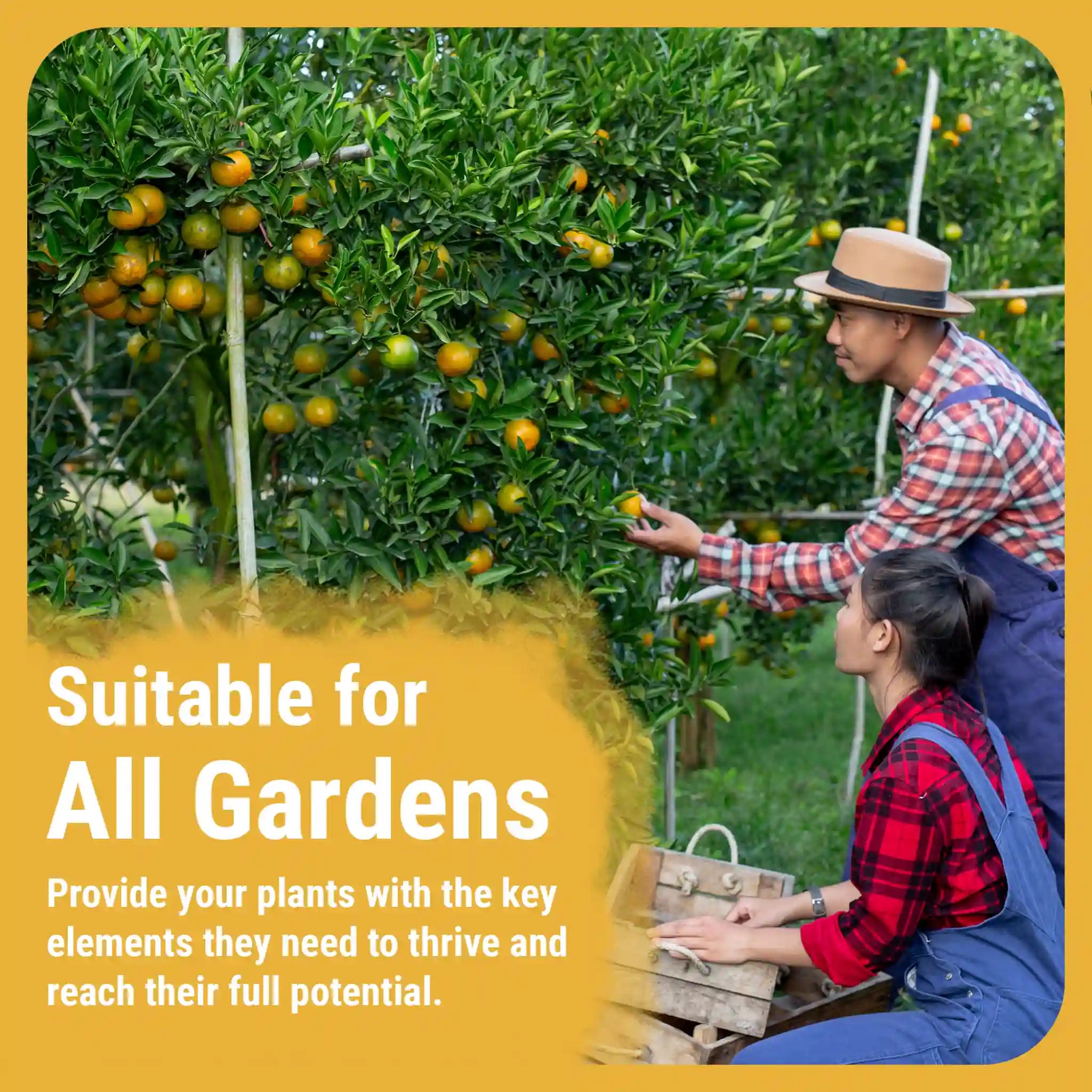 Cronk CalMag 2-0-0 | Calcium Magnesium Iron Supplement