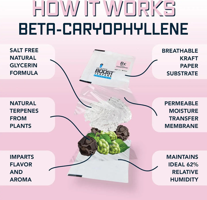 Integra Boost - Beta-Caryophyllene Infusion - 4 Gram Integra Boost