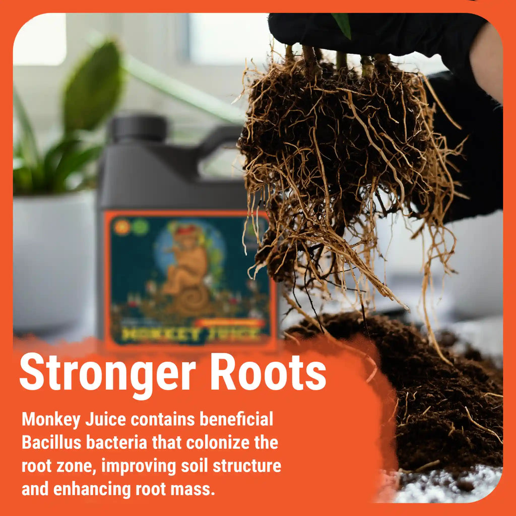 Cronk Monkey Juice | Beneficial Bacteria Root Booster