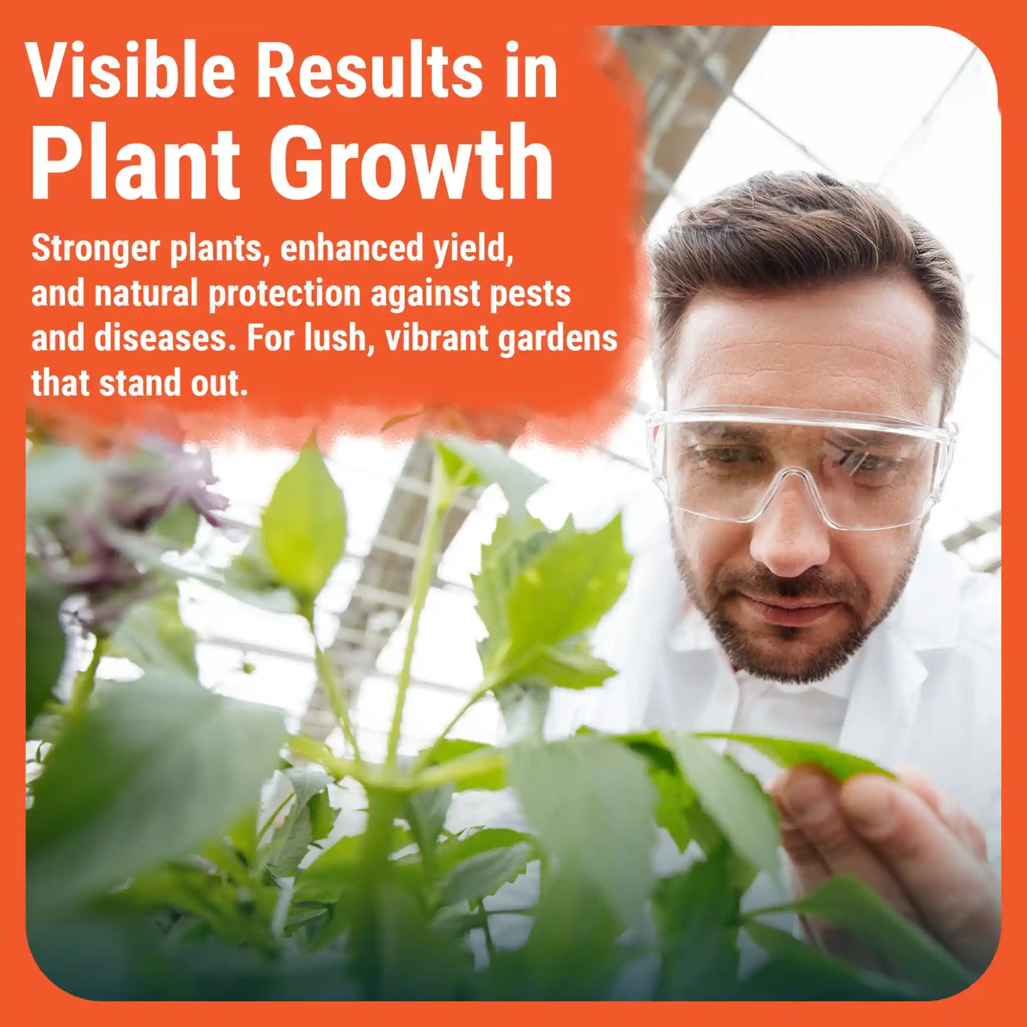 Cronk Monkey Juice | Beneficial Bacteria Root Booster